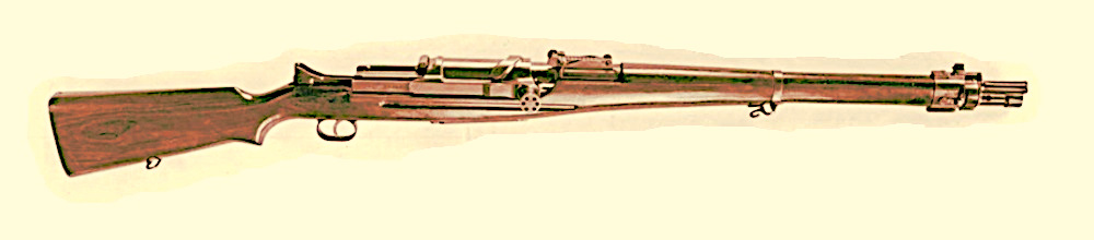 Automatic rifle