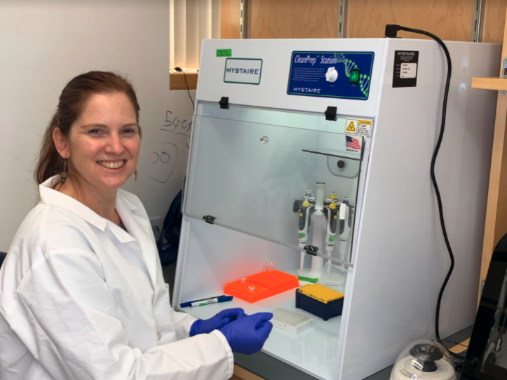 Anne Wyllie, scientist from New Zealand, sitting at work station