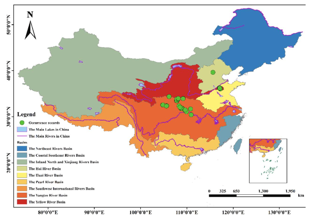 Distribution of O. macrolepis