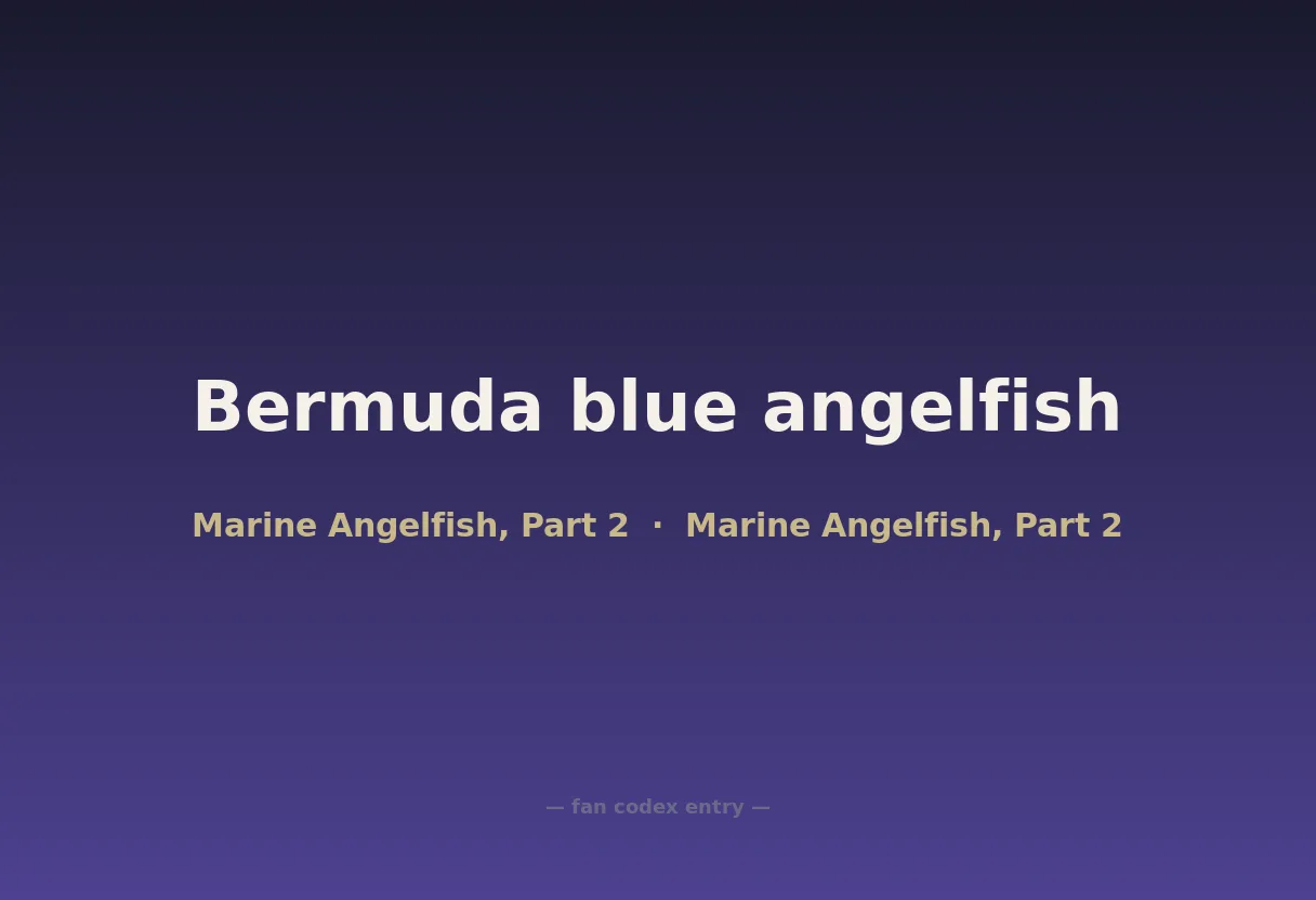 Bermuda blue angelfish