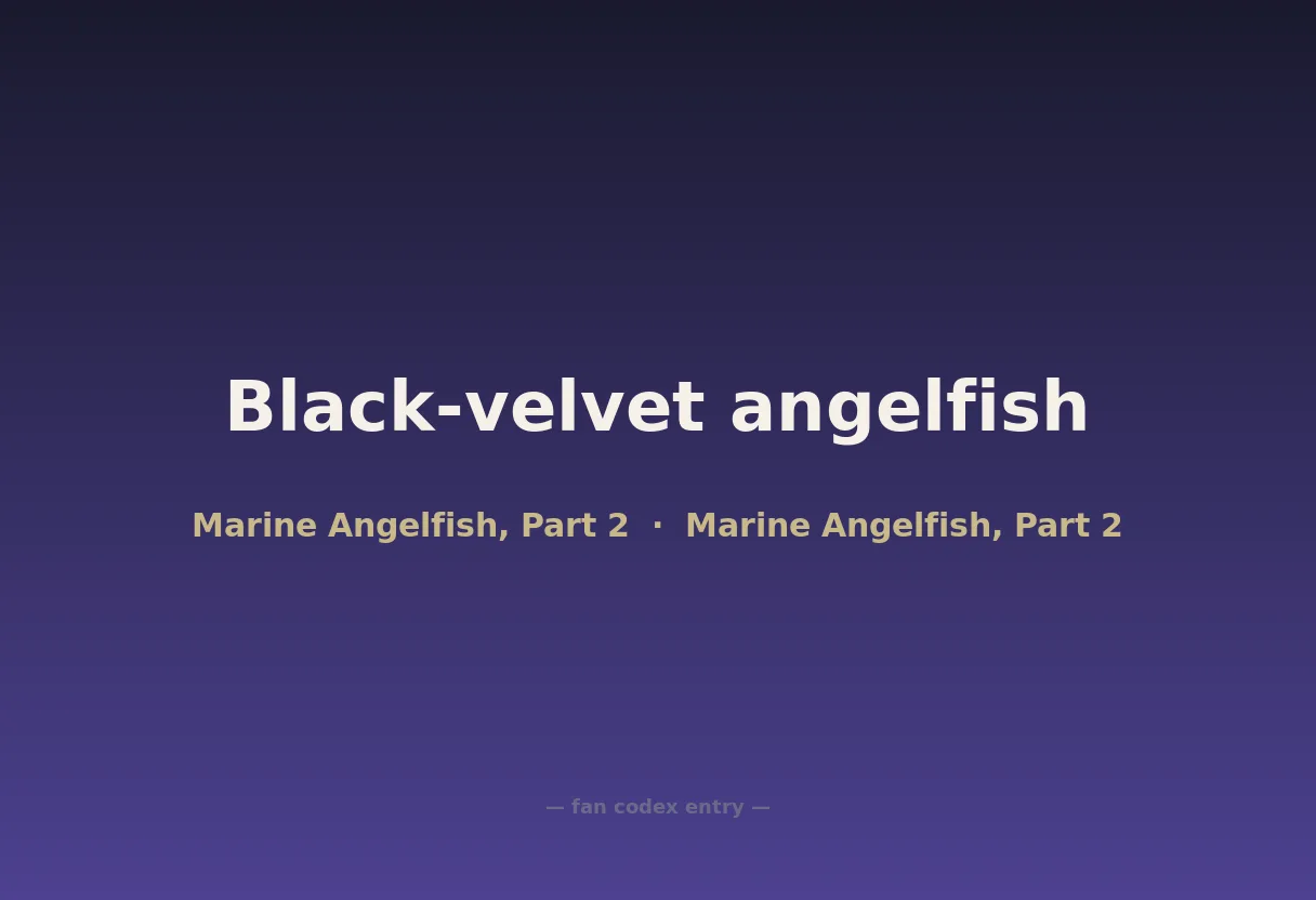 Black-velvet angelfish