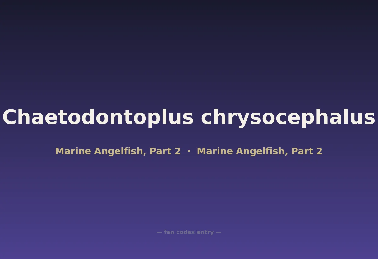 Chaetodontoplus chrysocephalus