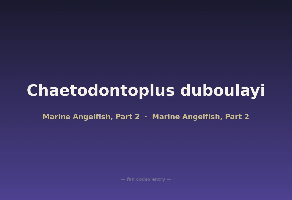 Chaetodontoplus duboulayi