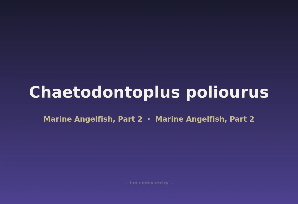 Chaetodontoplus poliourus