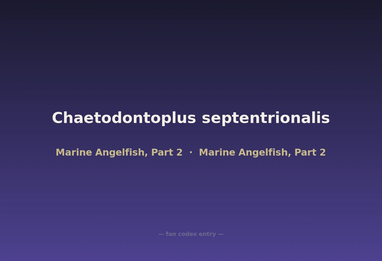 Chaetodontoplus septentrionalis
