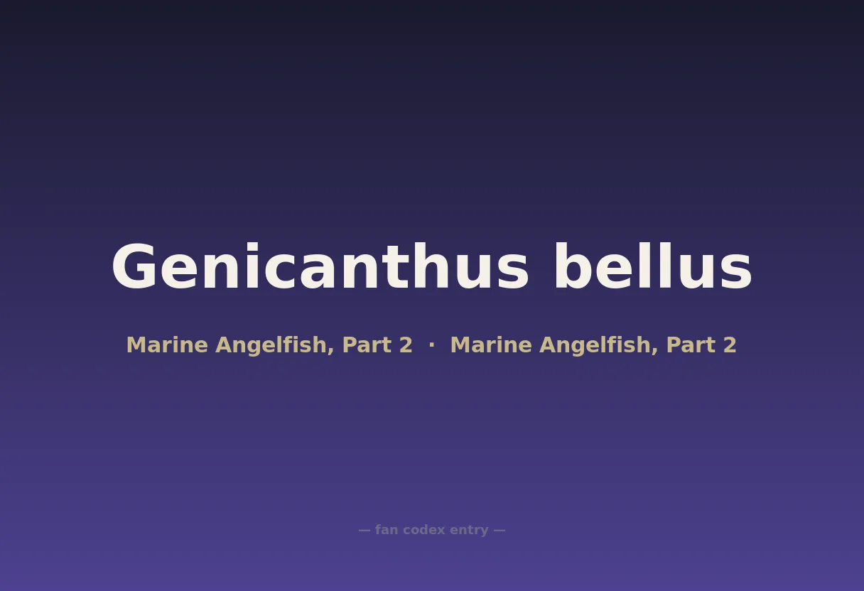 Genicanthus bellus
