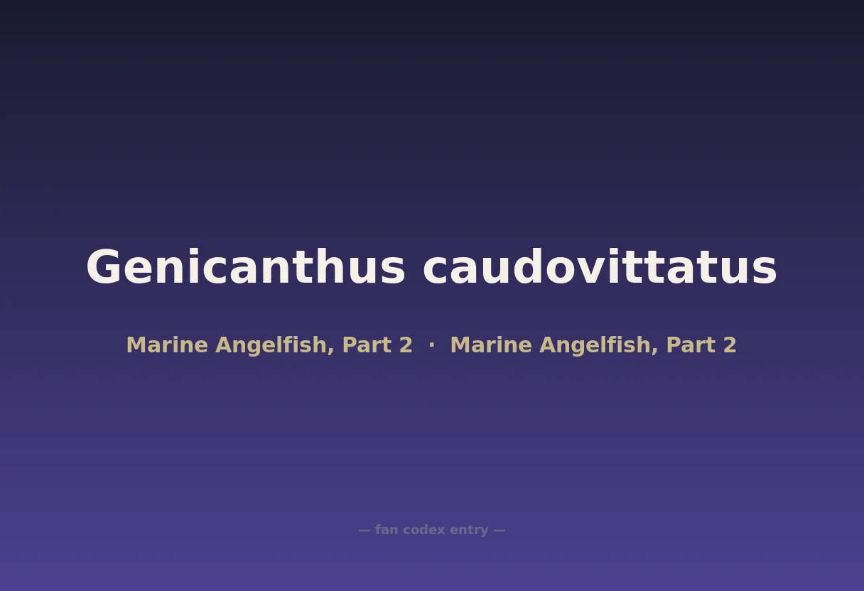 Genicanthus caudovittatus