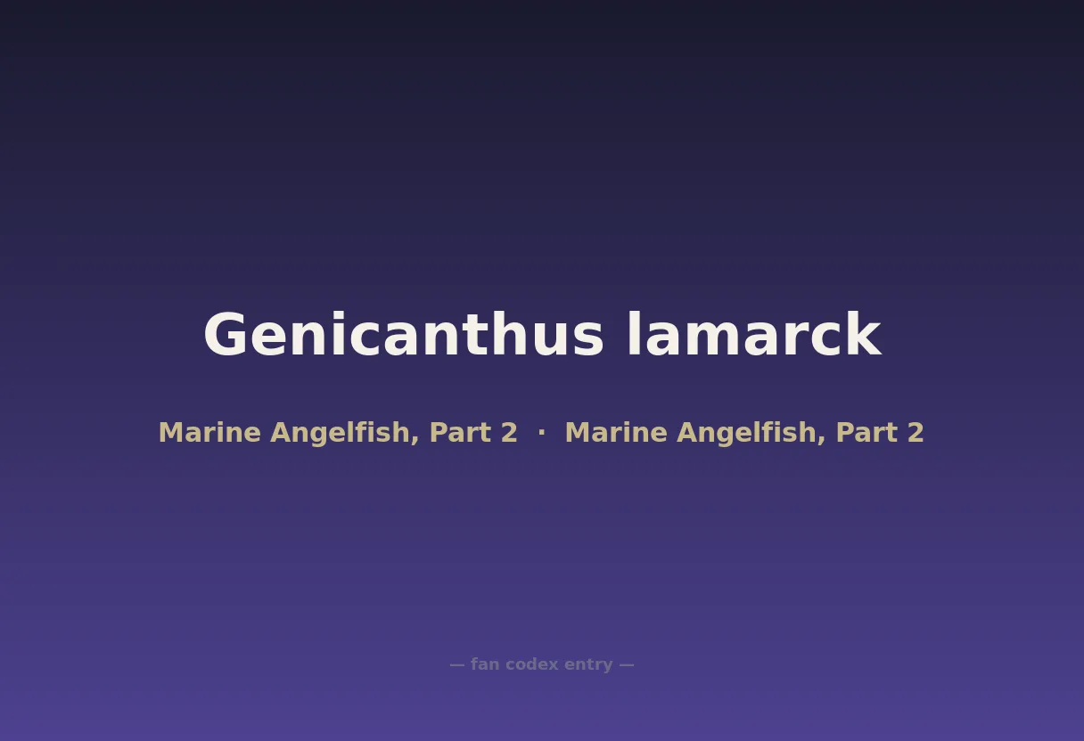 Genicanthus lamarck