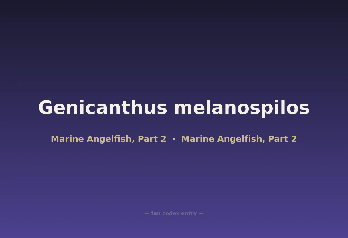 Genicanthus melanospilos