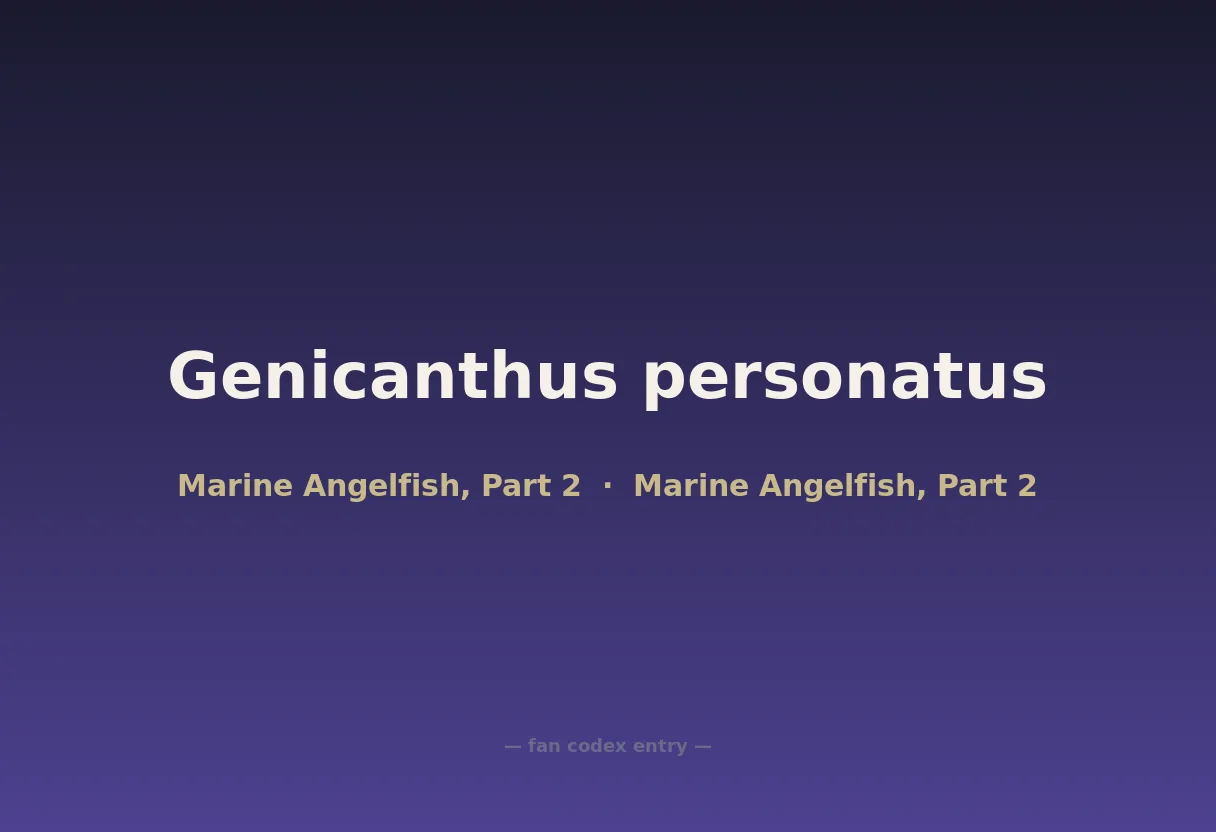 Genicanthus personatus