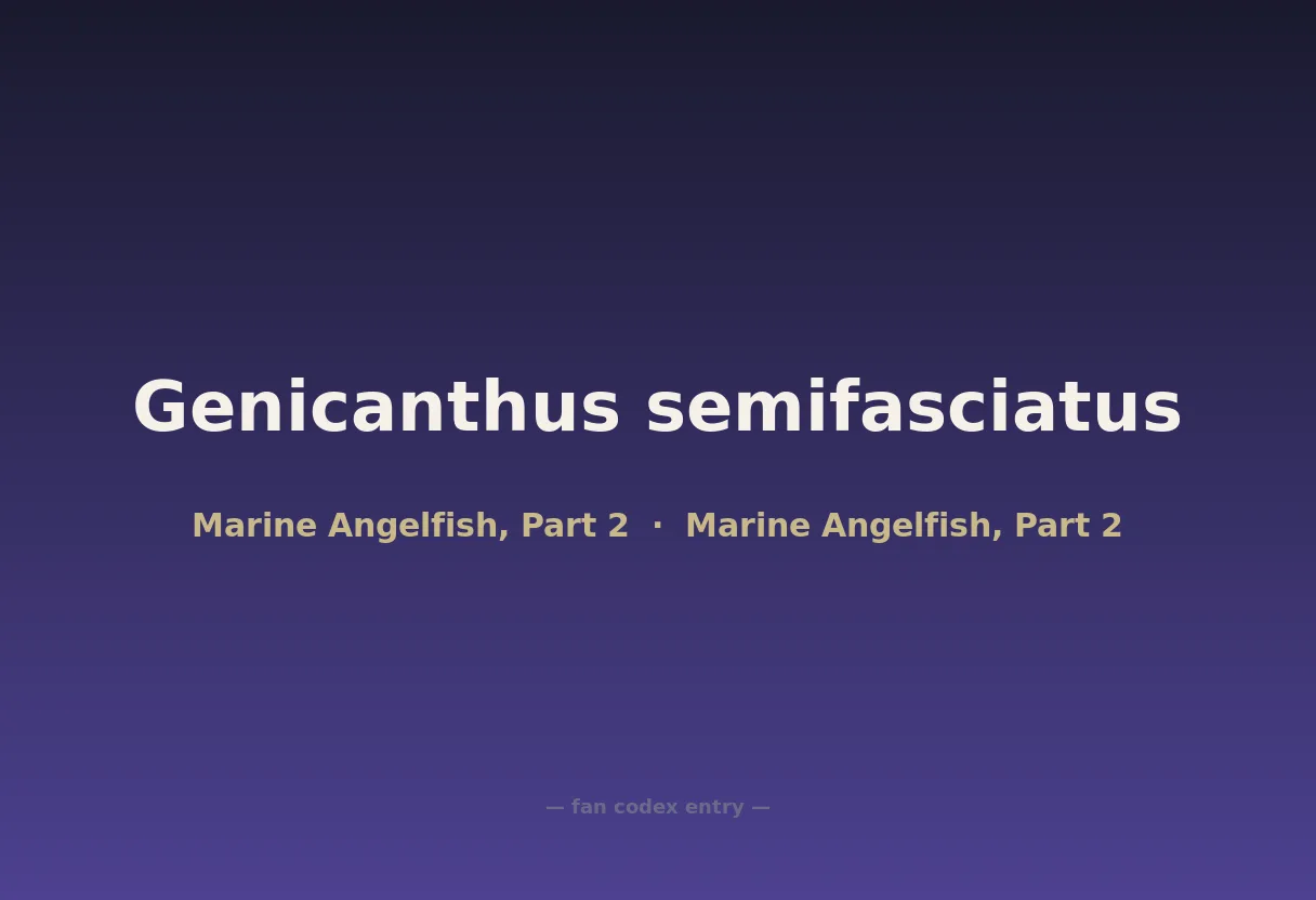 Genicanthus semifasciatus