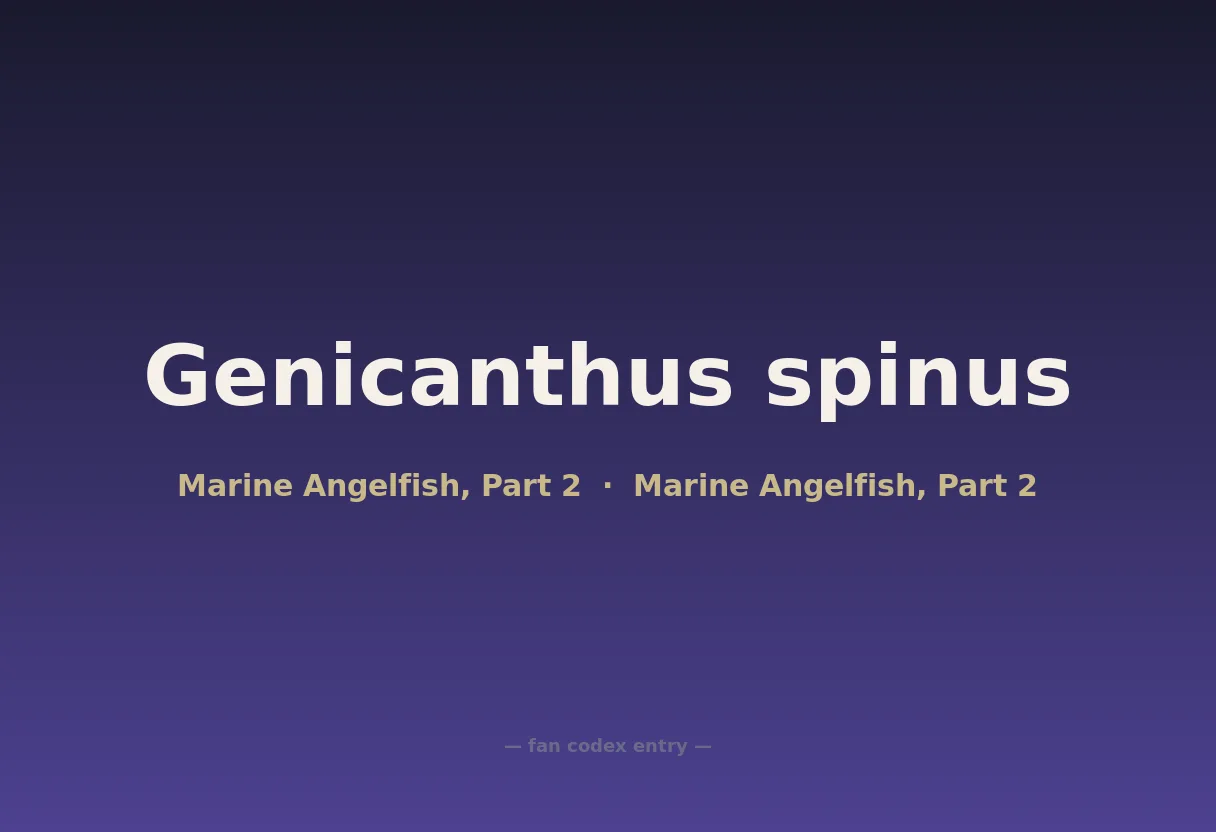 Genicanthus spinus
