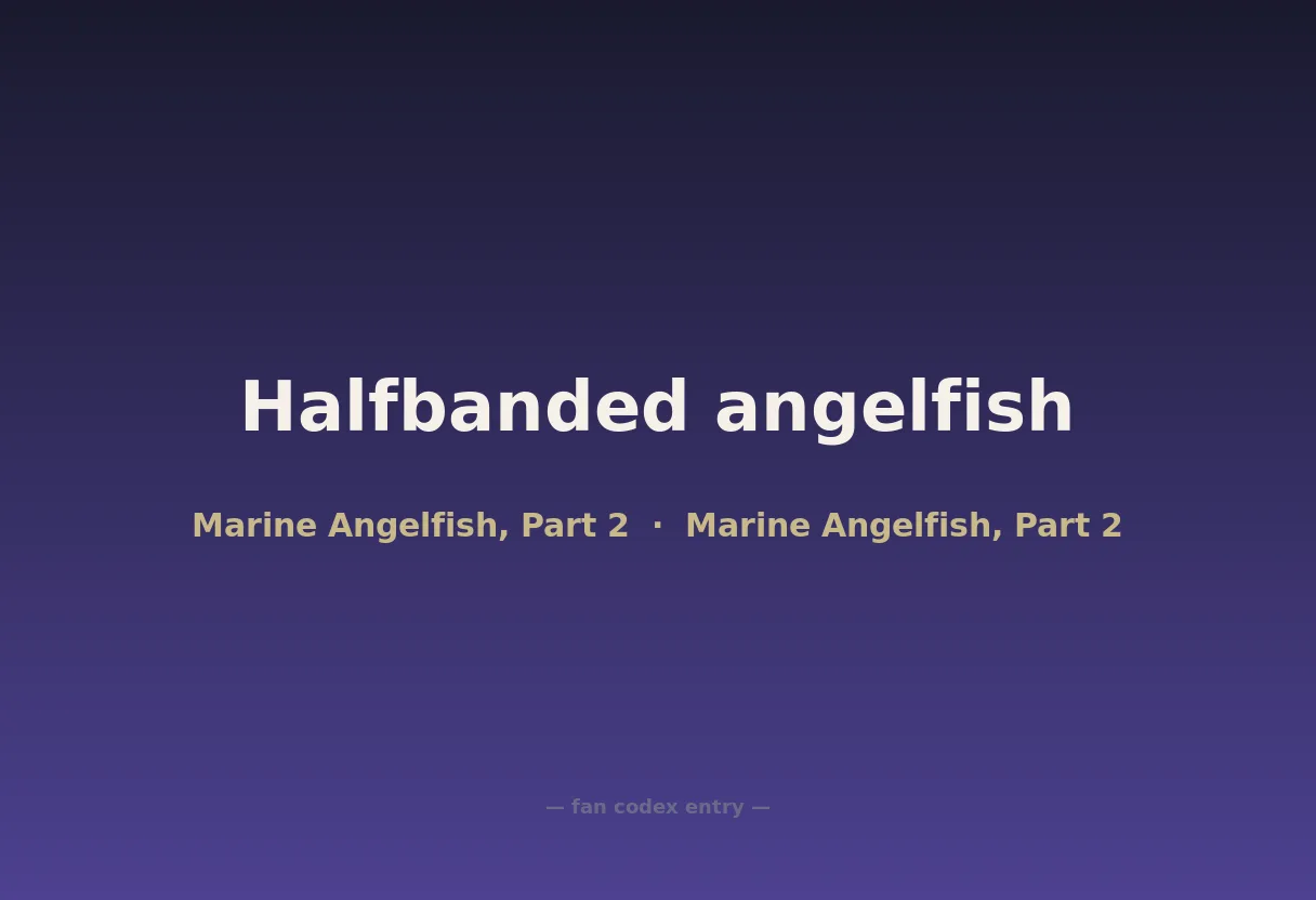 Halfbanded angelfish