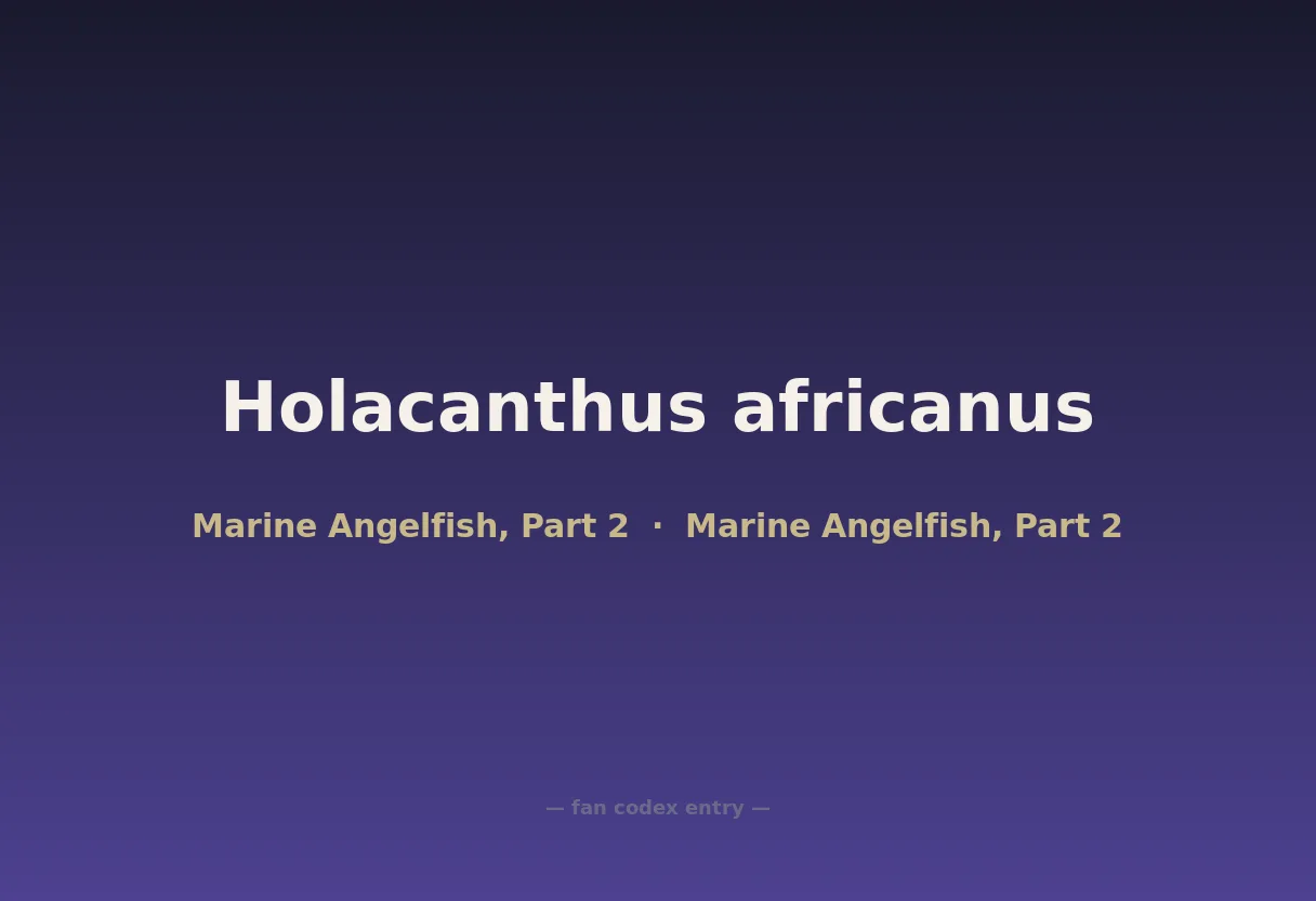 Holacanthus africanus