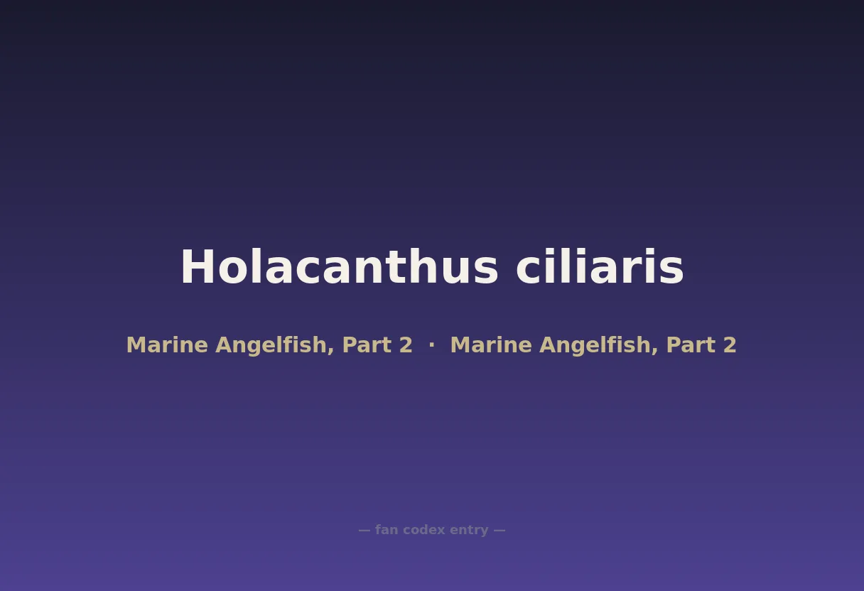 Holacanthus ciliaris