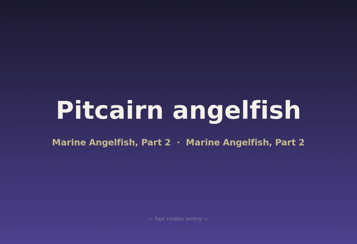 Pitcairn angelfish