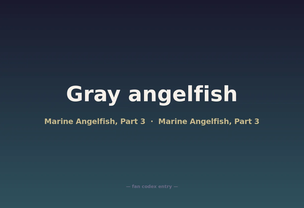 Gray angelfish