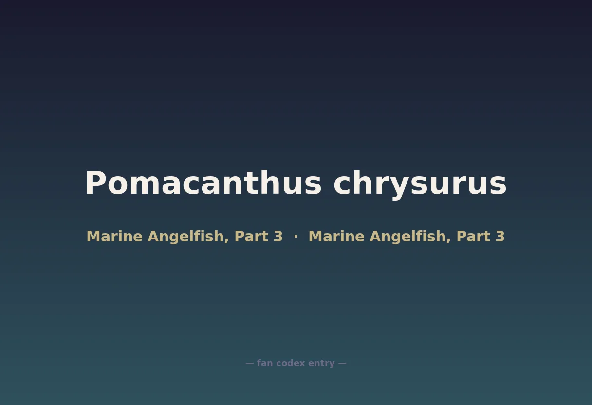 Pomacanthus chrysurus