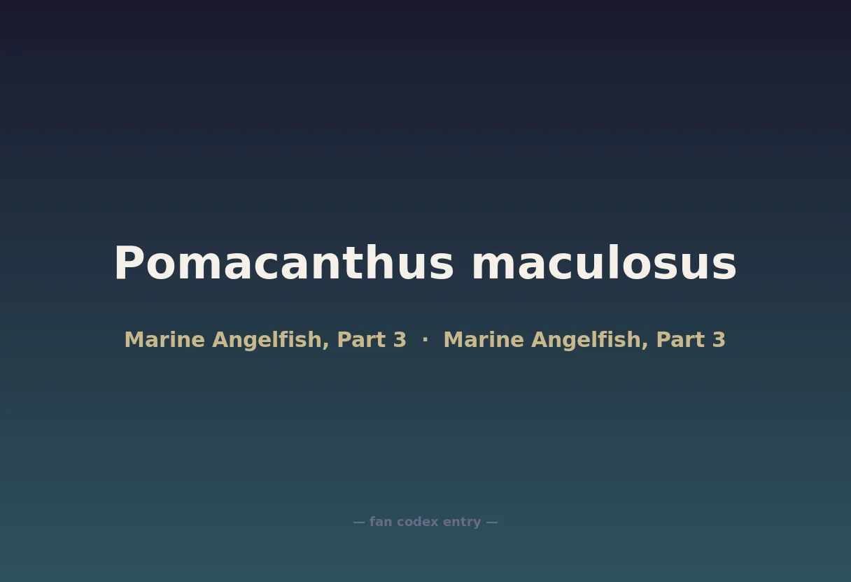 Pomacanthus maculosus