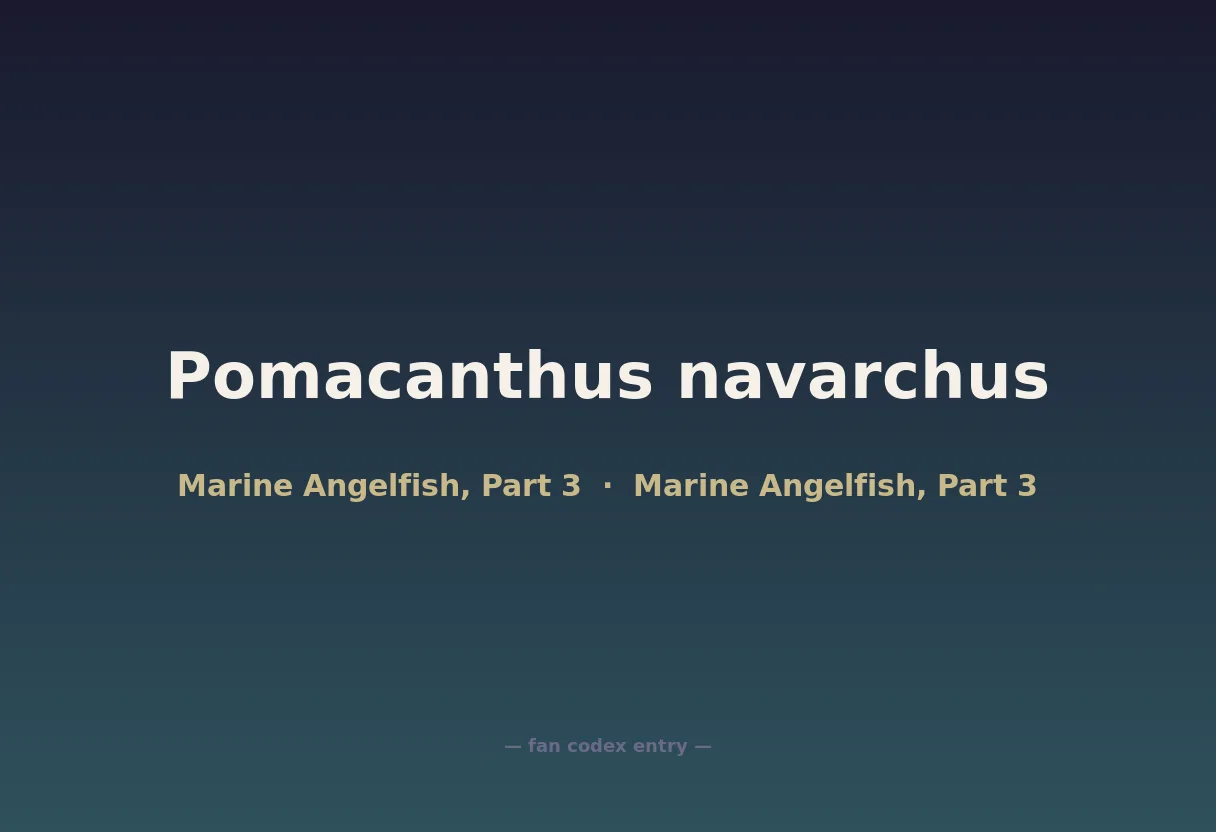 Pomacanthus navarchus