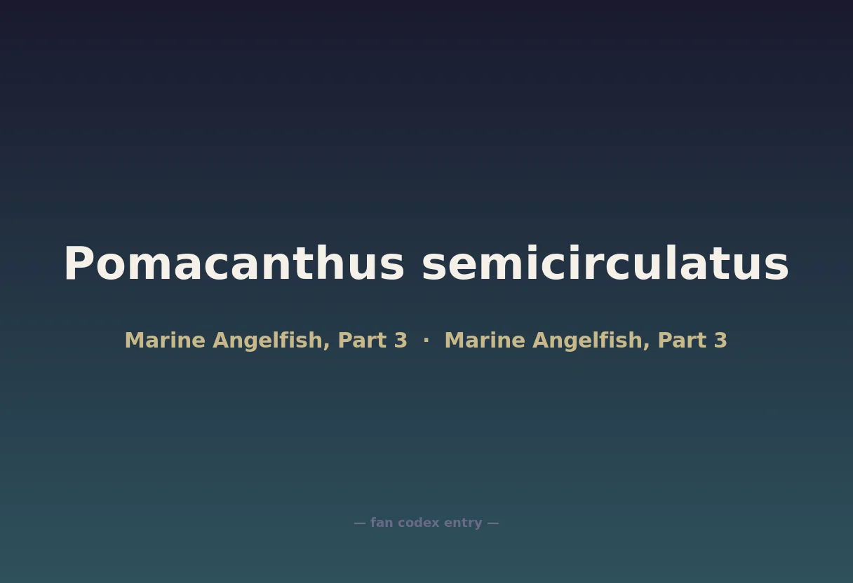 Pomacanthus semicirculatus