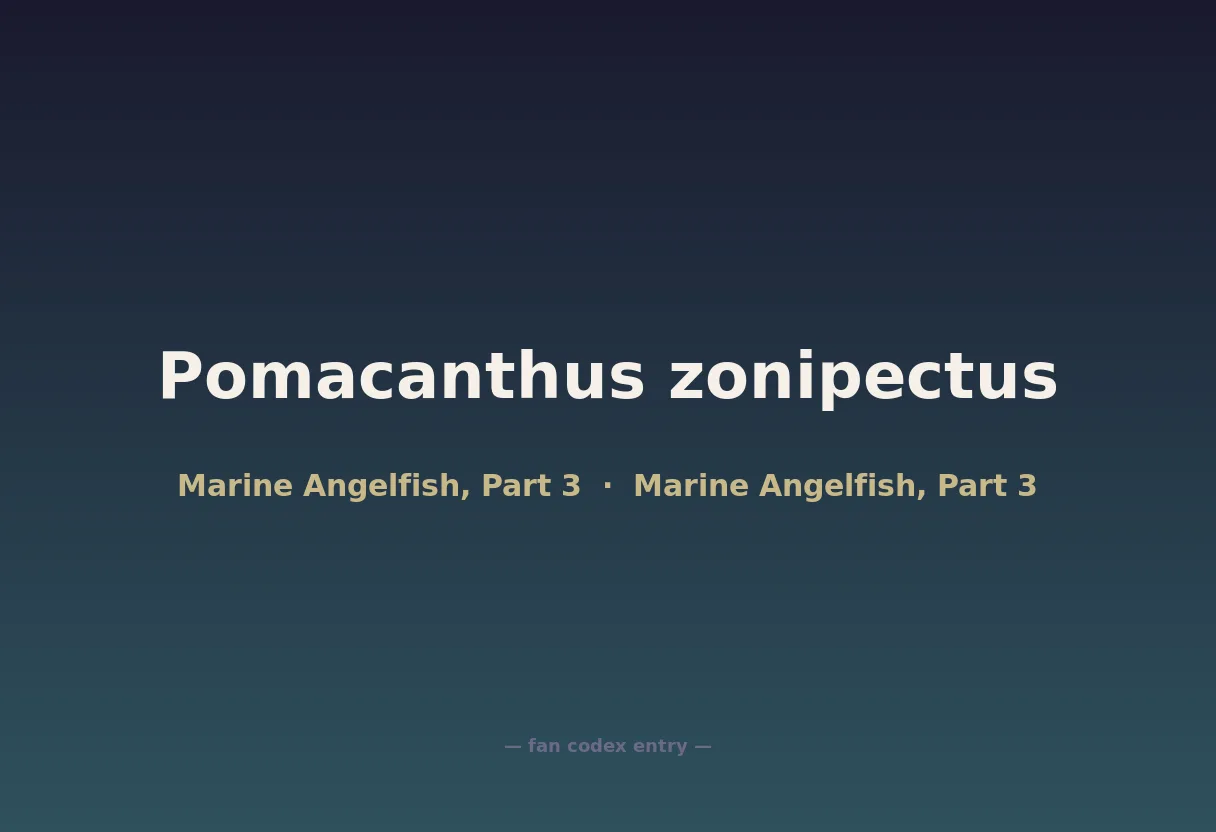 Pomacanthus zonipectus
