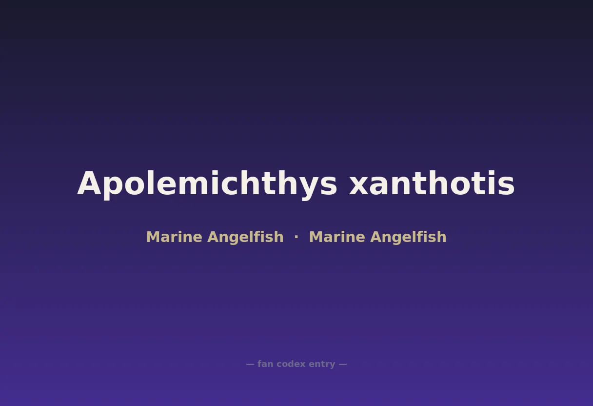 Apolemichthys xanthotis