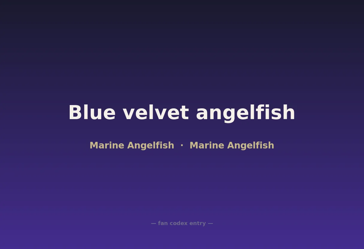 Blue velvet angelfish