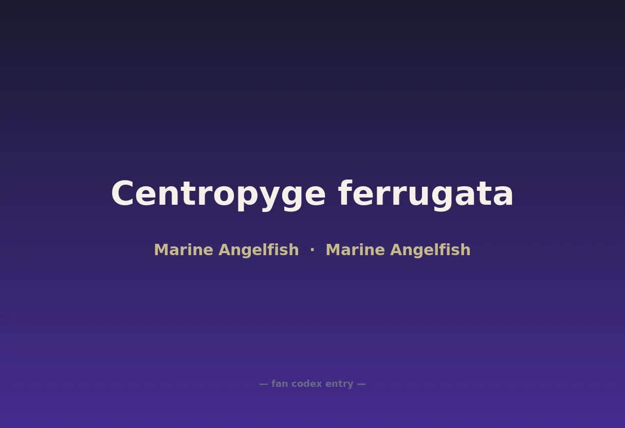Centropyge ferrugata