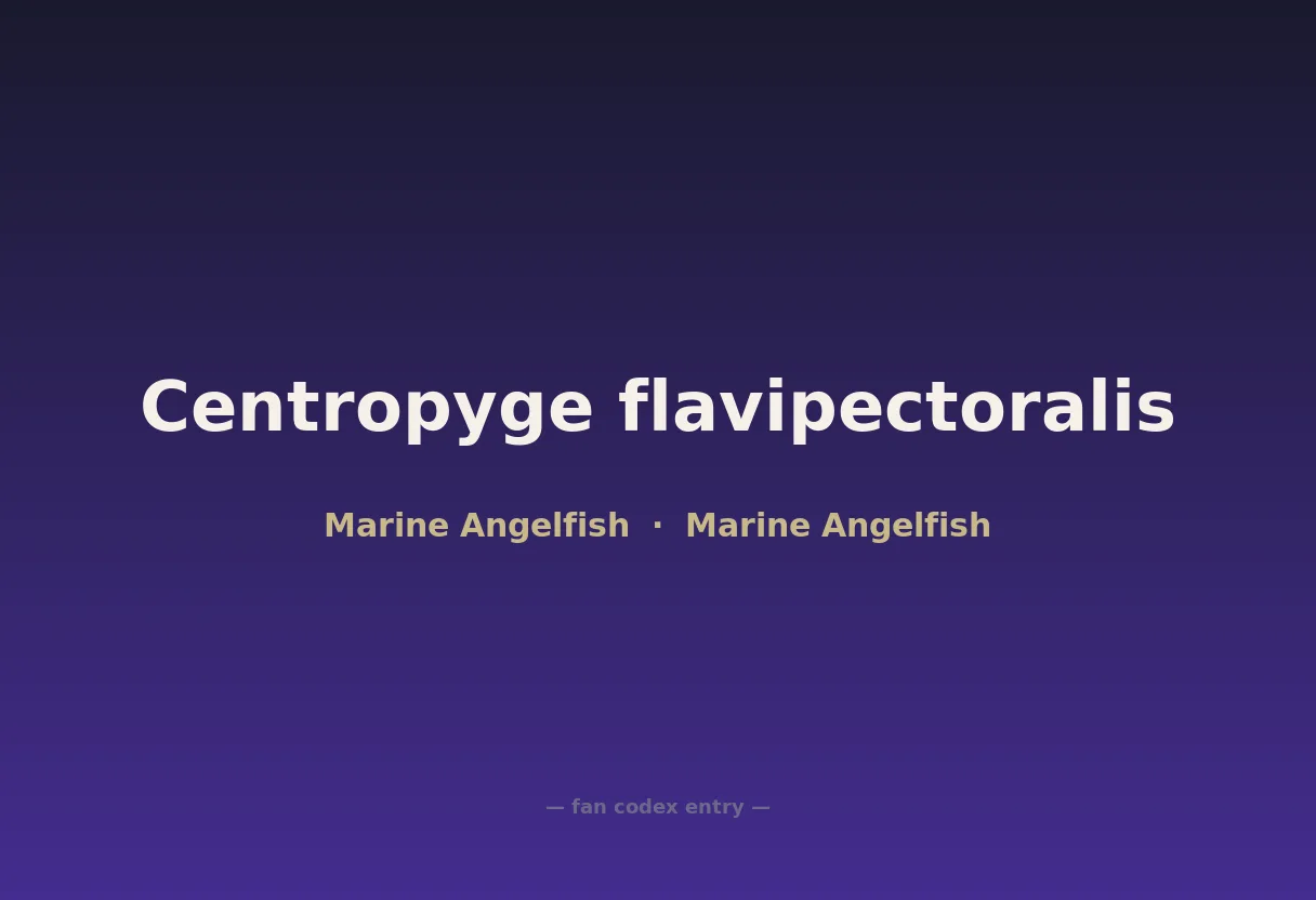 Centropyge flavipectoralis