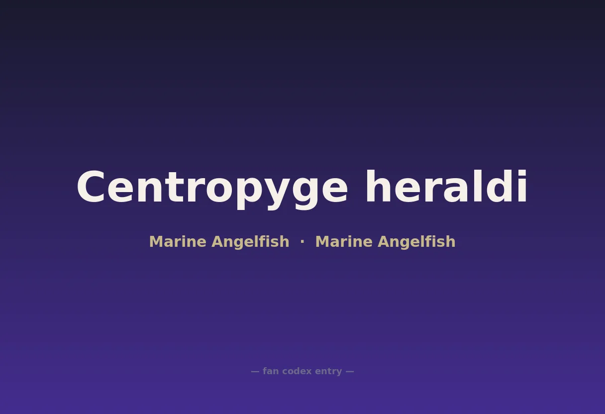 Centropyge heraldi
