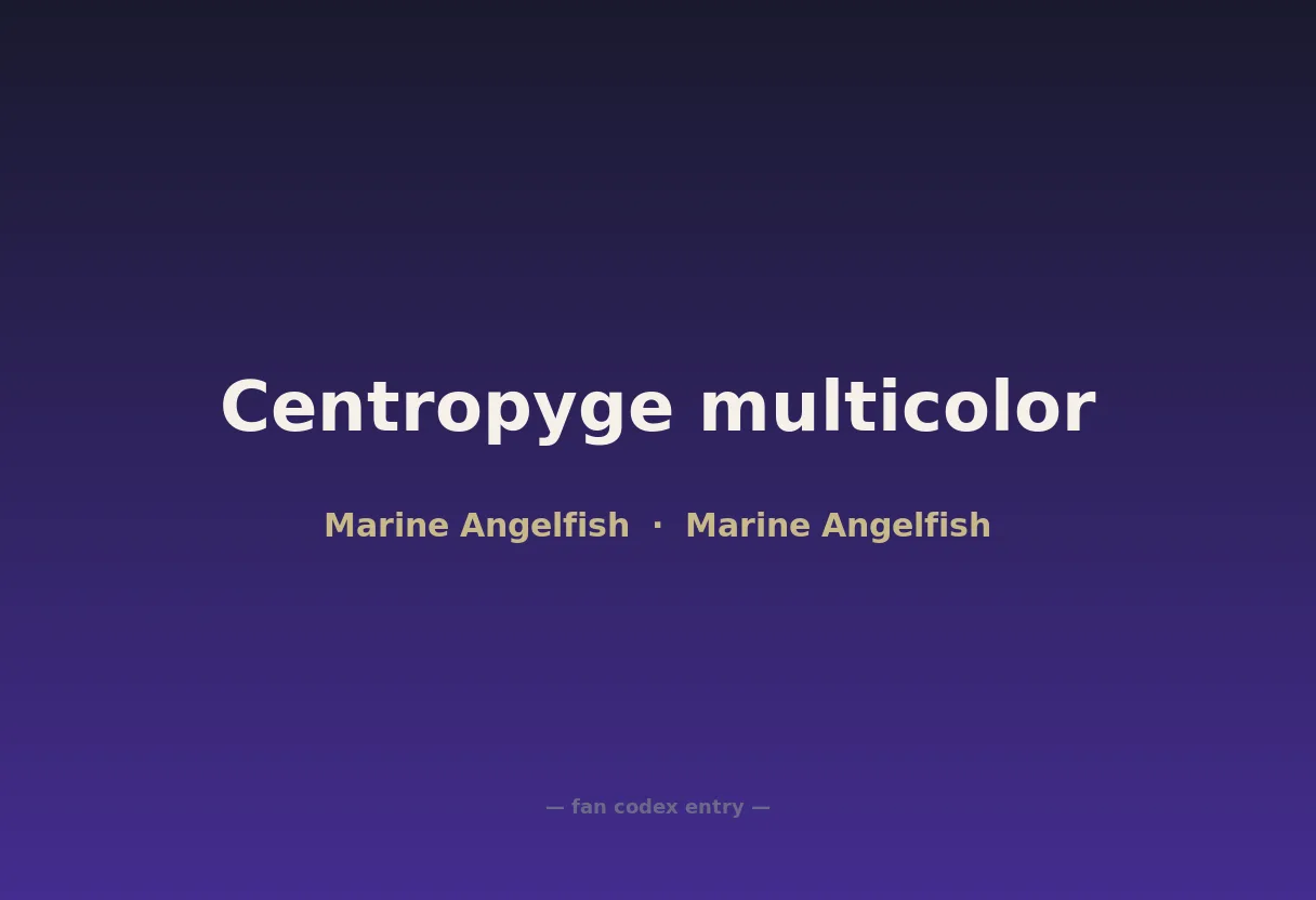 Centropyge multicolor