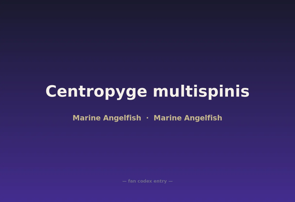 Centropyge multispinis