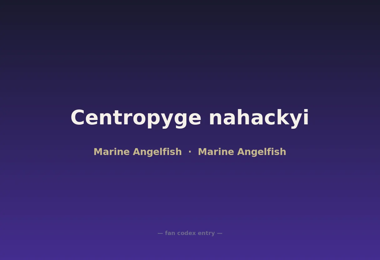 Centropyge nahackyi