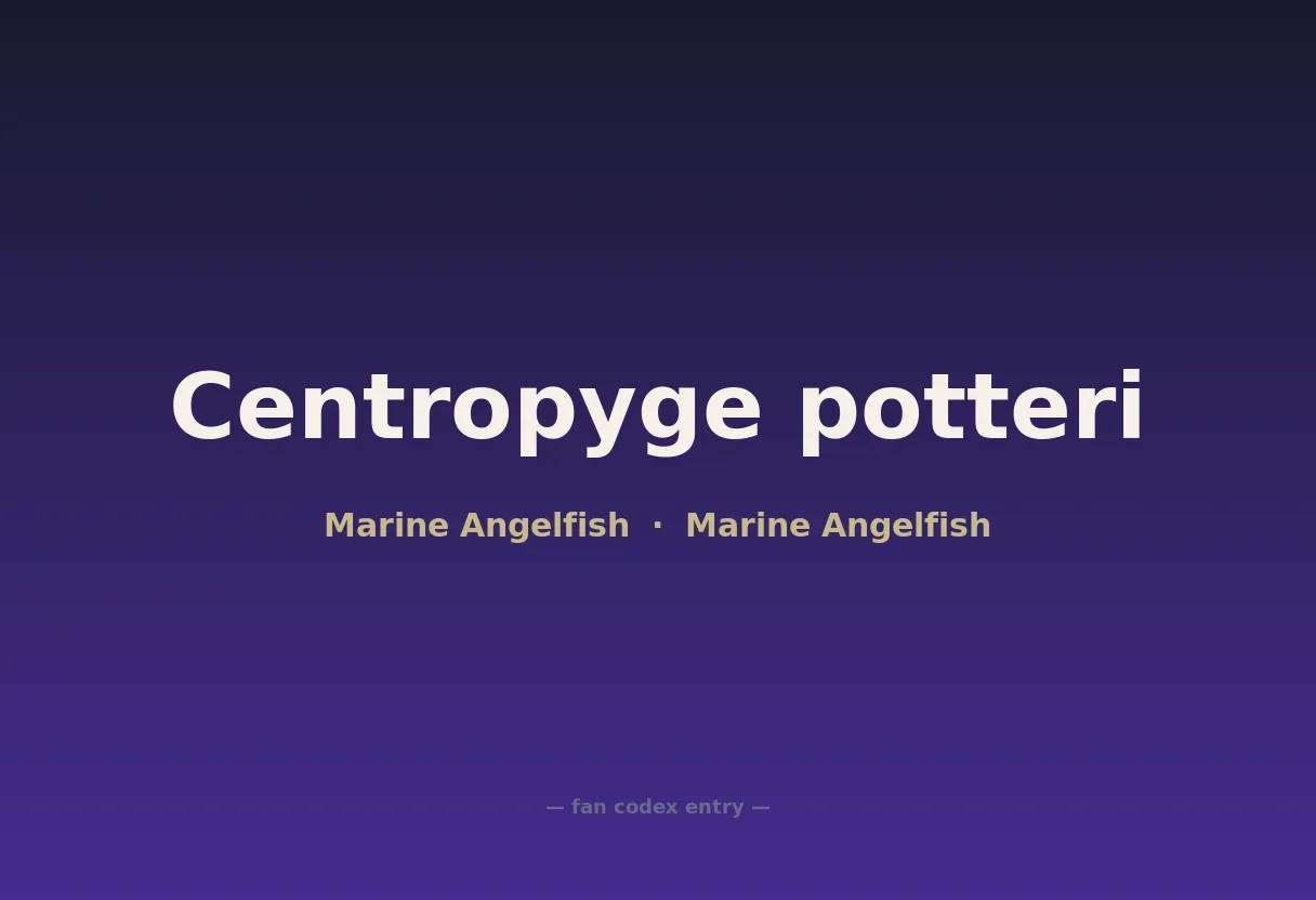 Centropyge potteri