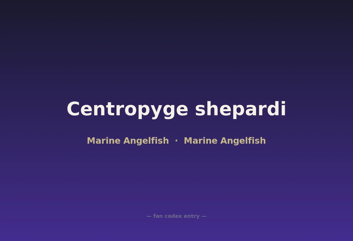 Centropyge shepardi