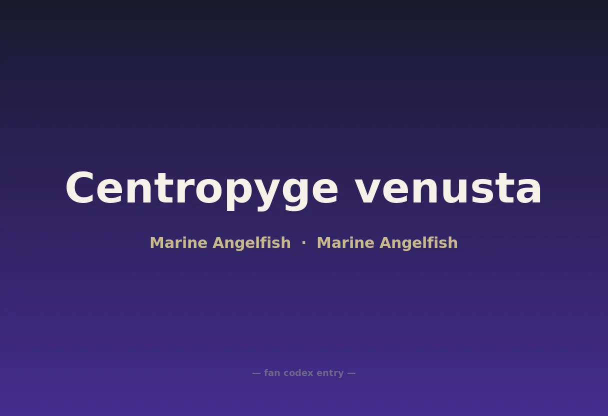 Centropyge venusta