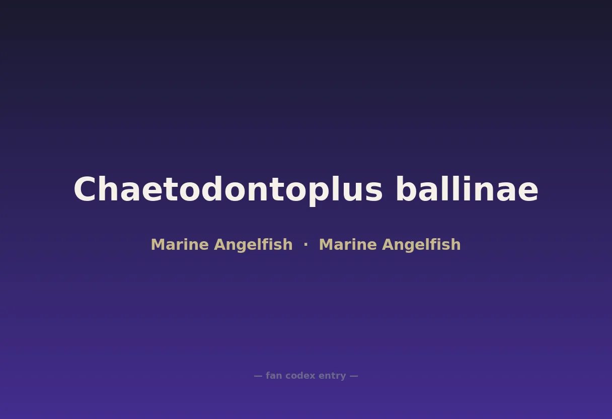Chaetodontoplus ballinae