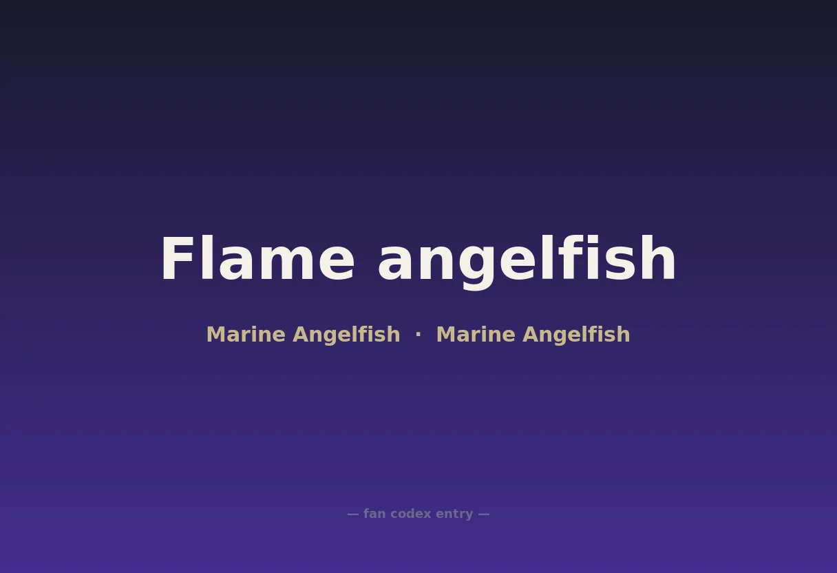Flame angelfish