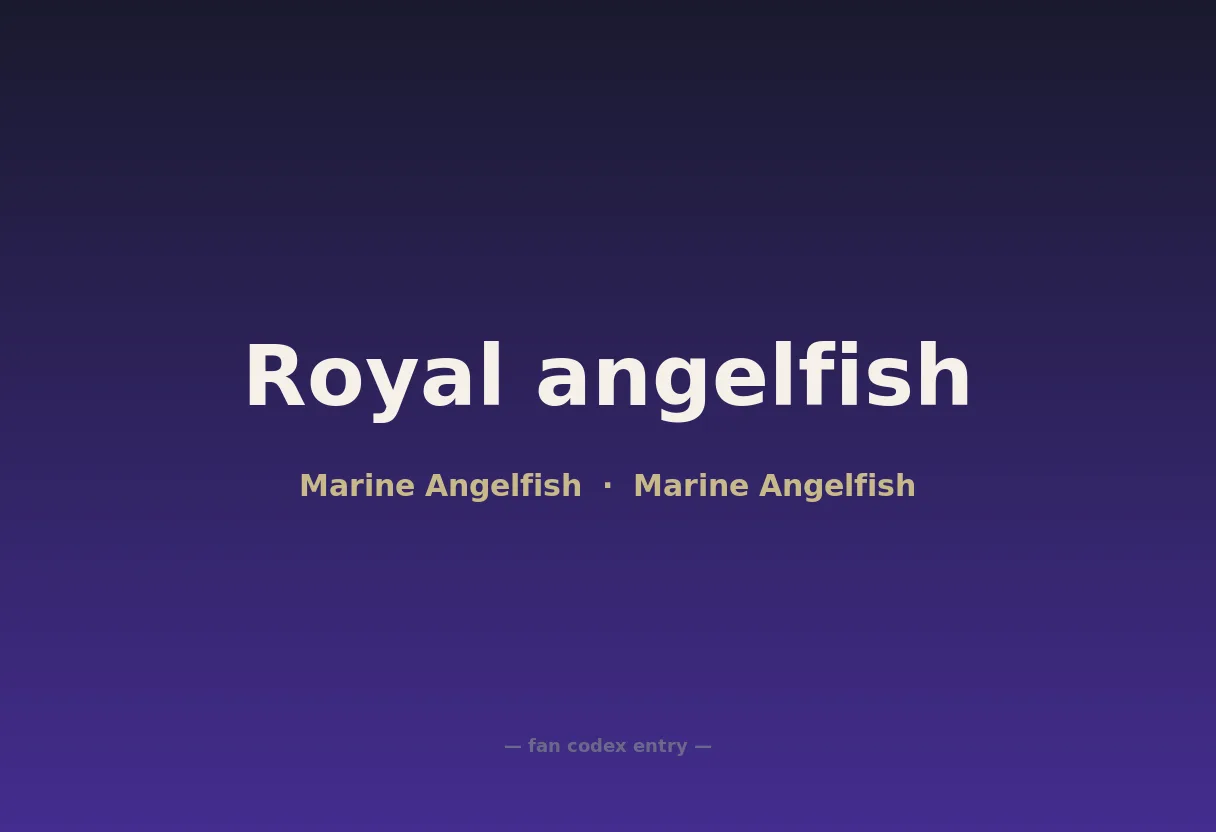 Royal angelfish