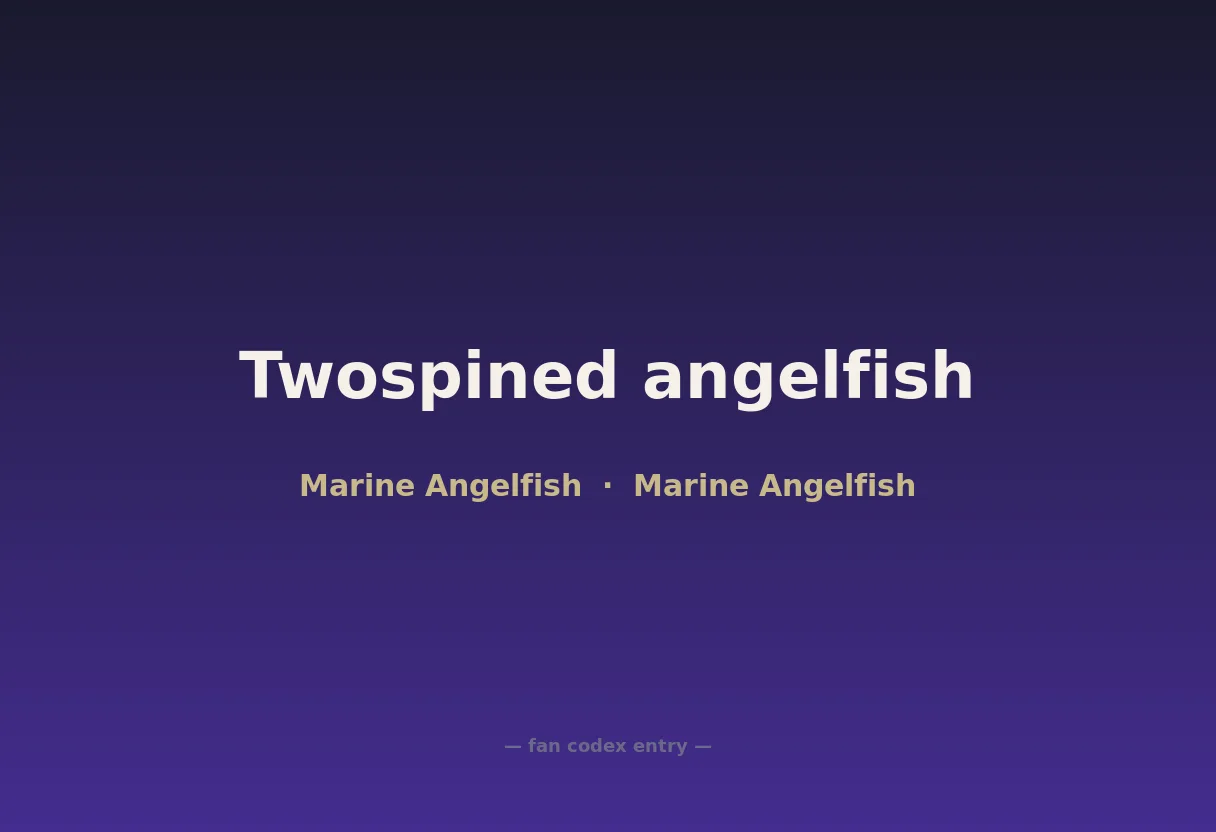 Twospined angelfish