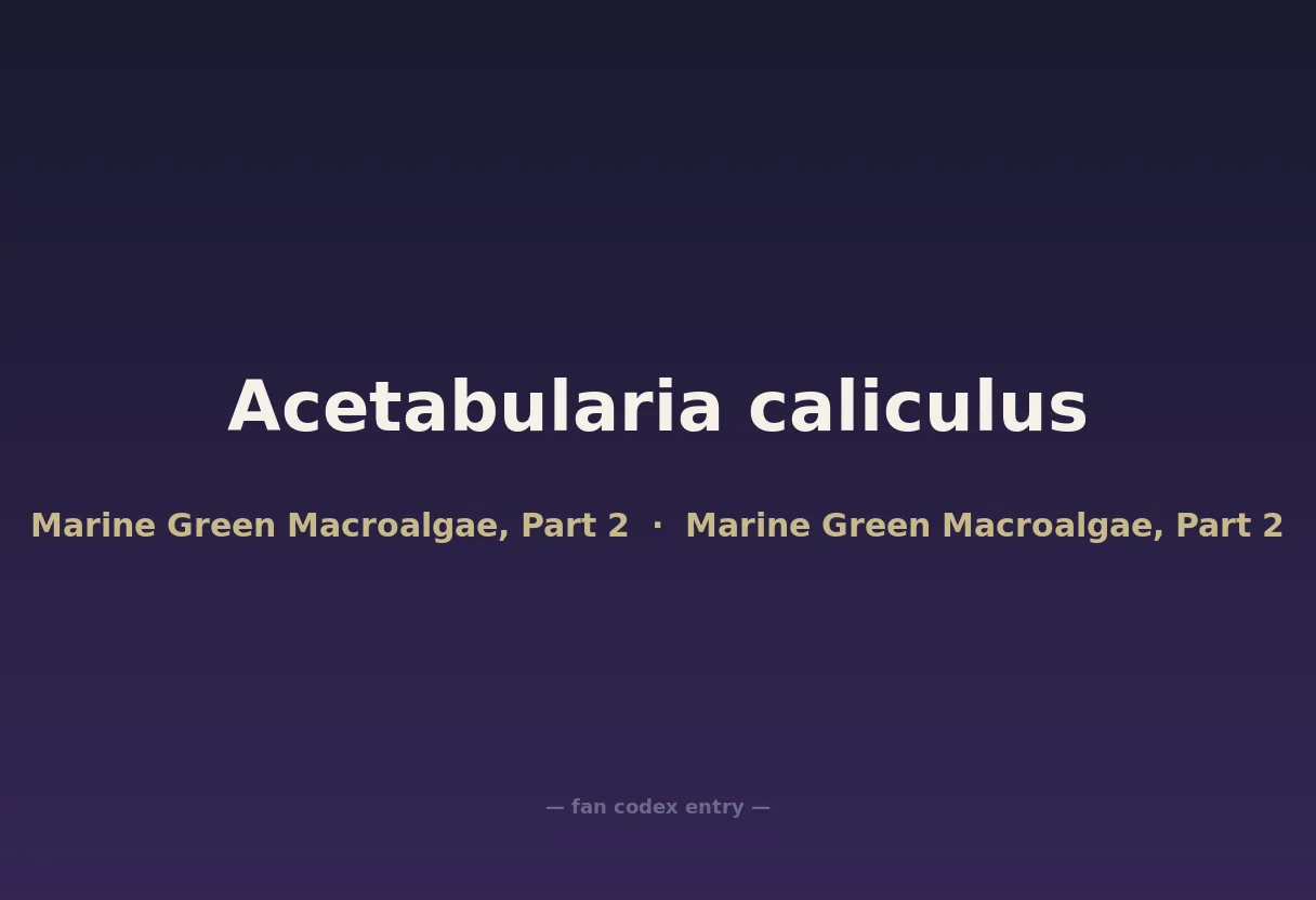 Acetabularia caliculus