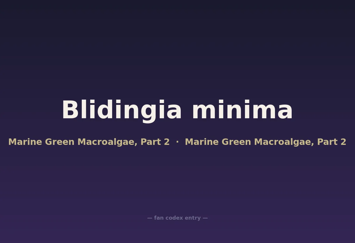 Blidingia minima