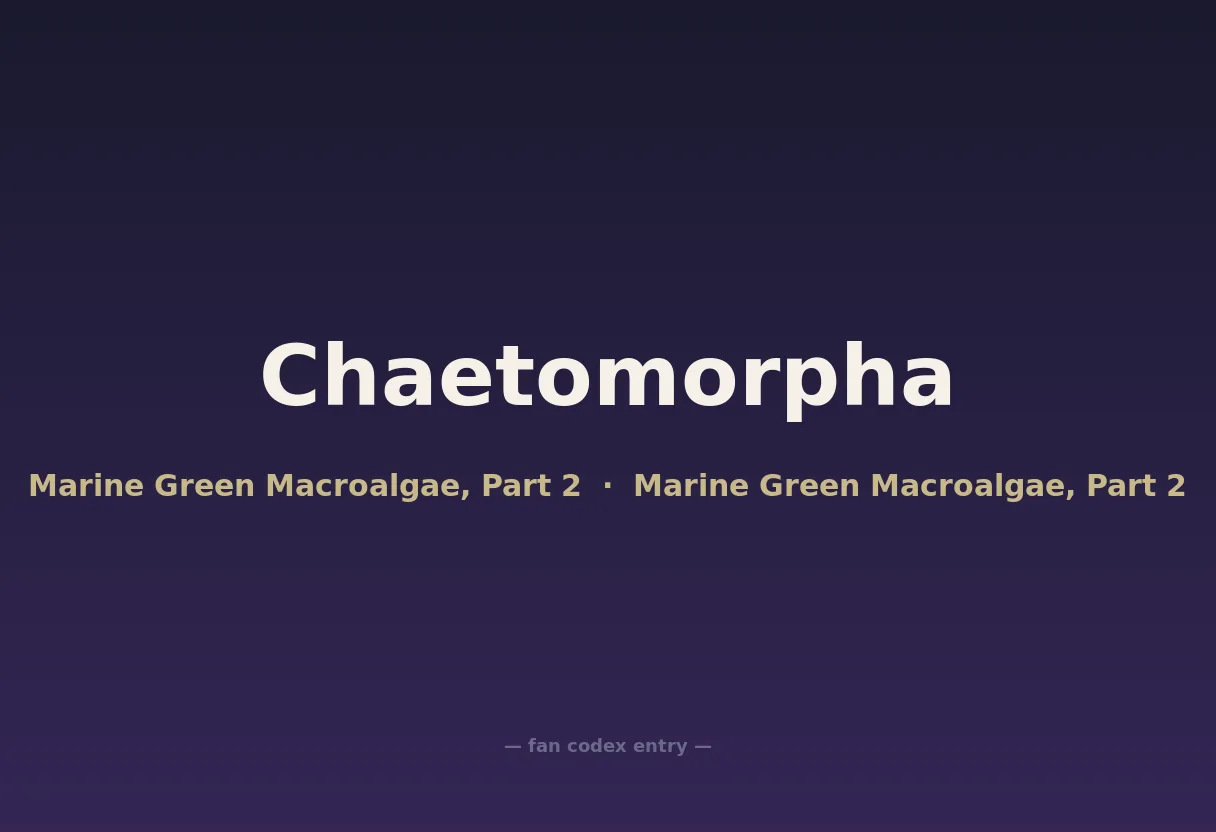 Chaetomorpha