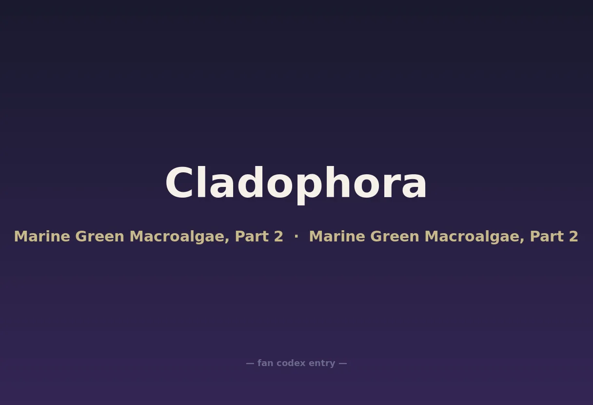 Cladophora
