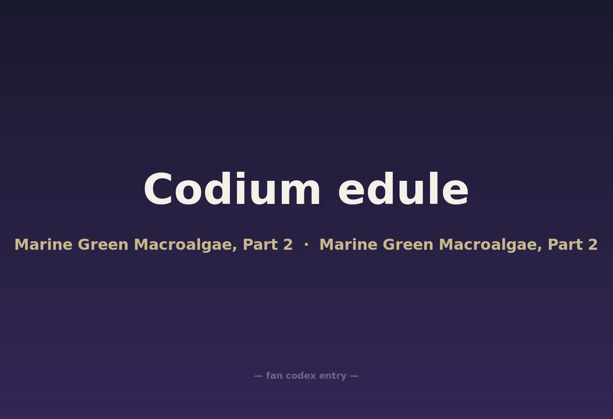 Codium edule