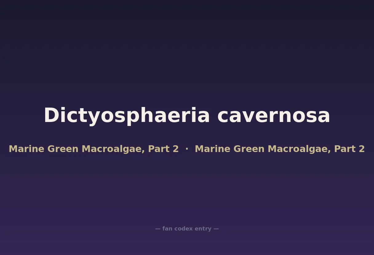 Dictyosphaeria cavernosa
