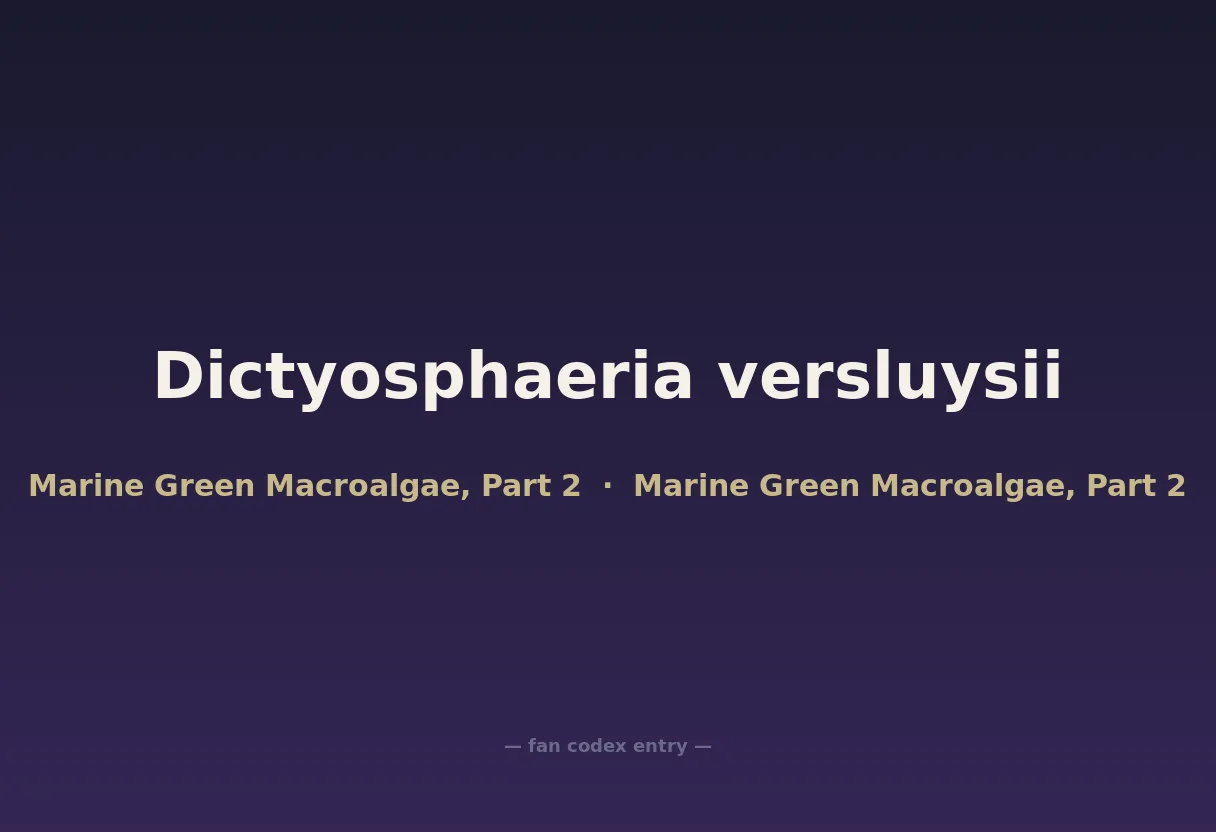 Dictyosphaeria versluysii