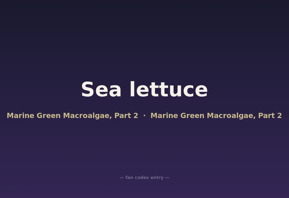 Sea lettuce