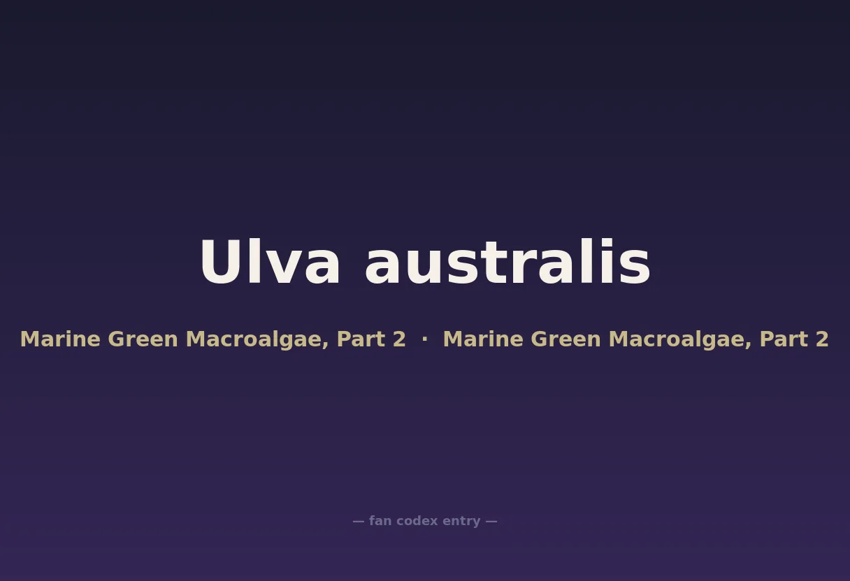 Ulva australis